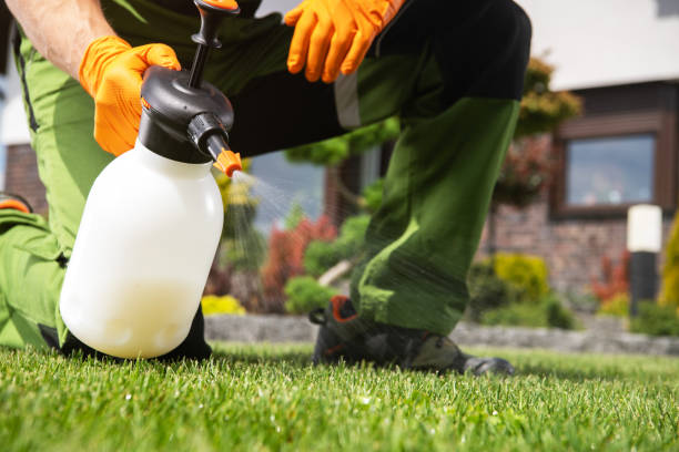 Best Exterminator Services  in Wellington, CO