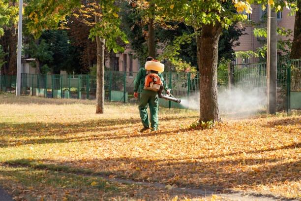 Best Pest Removal Services  in Wellington, CO