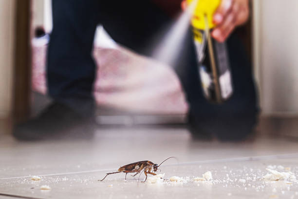 Best Best Pest Control Companies  in Wellington, CO